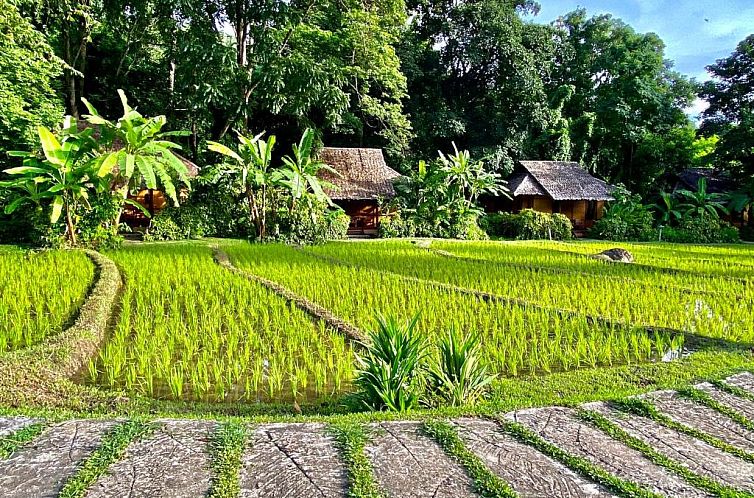 Fern Resort Mae Hong Son