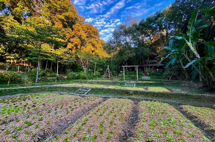 Fern Resort Mae Hong Son