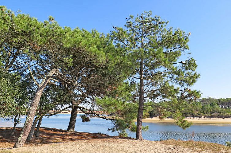 Appartement Les Sables d’Or Studio