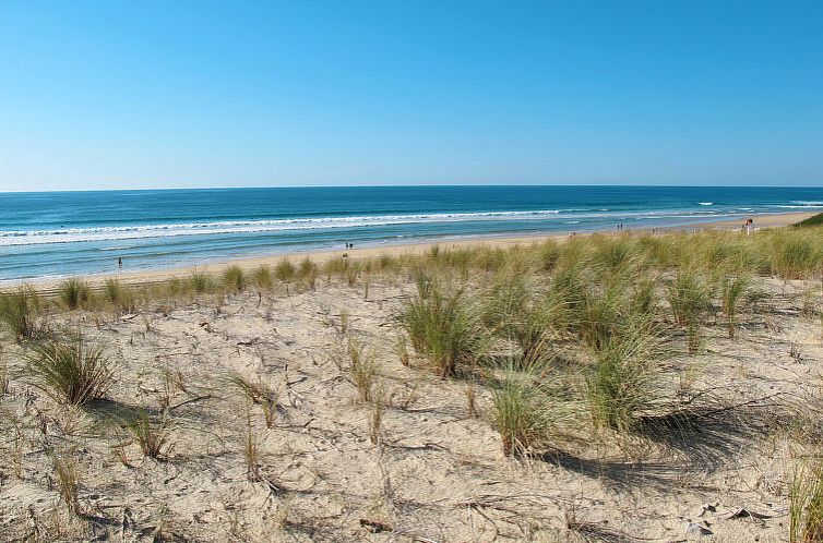 Vakantiehuis Résidence Dune Blanche - Océan1