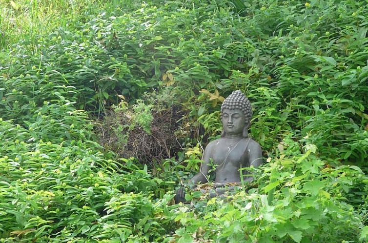 le pigeonnier et la bergerie