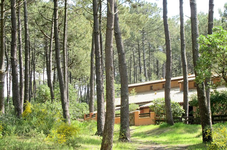 Vakantiehuis Les maisons de la forêt