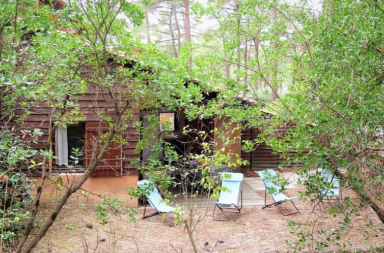 Vakantiehuis Les maisons de la forêt