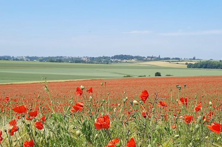 Vakantiehuisje in Saint Maulvis