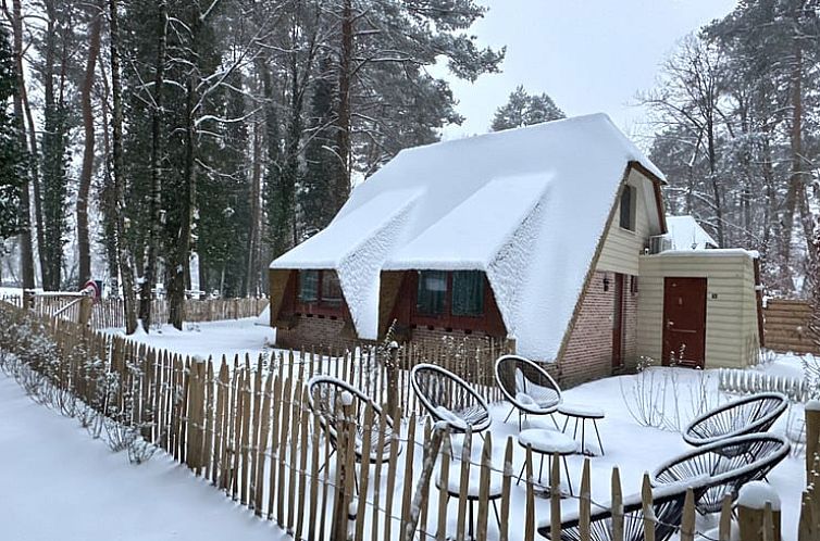 Vakantiehuisje in Rekem