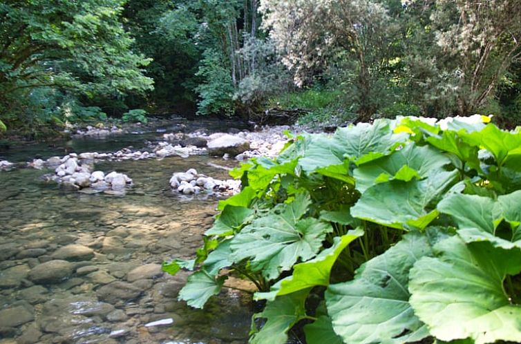 Vakantiehuis in Clairvaux les Lacs