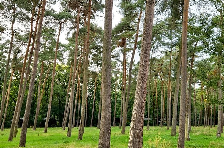 Huisje in Lanaken