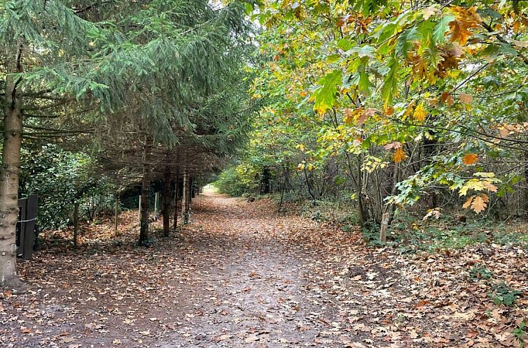 Pipowagen de Zwaan in Hoge Kempen nabij Maastricht