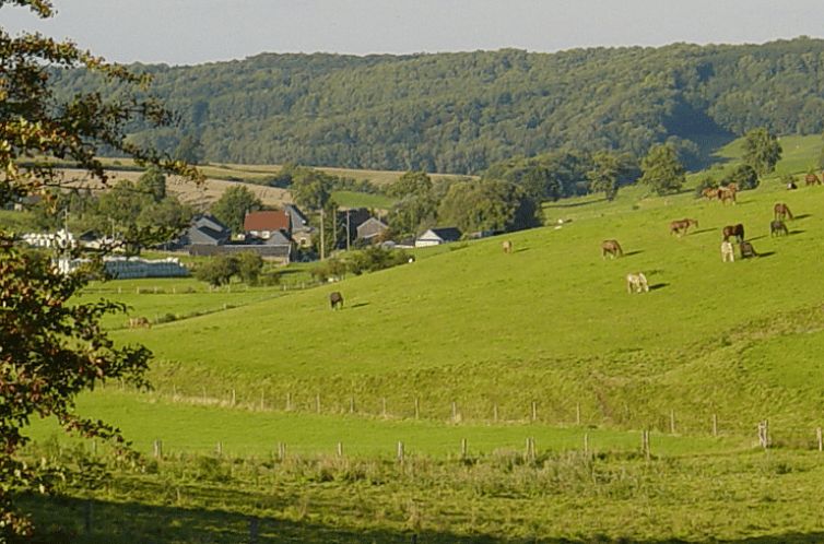 Vakantiehuis in Remersdaal