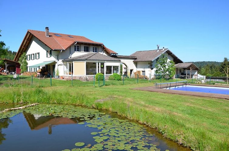 Vakantiehuisje in Remiremont