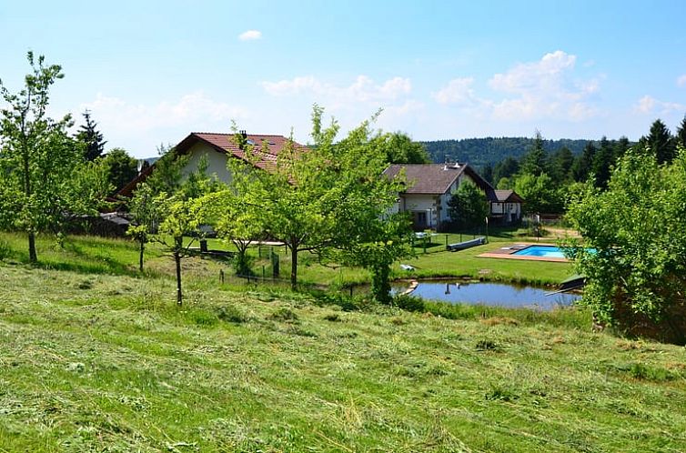 Vakantiehuisje in Remiremont