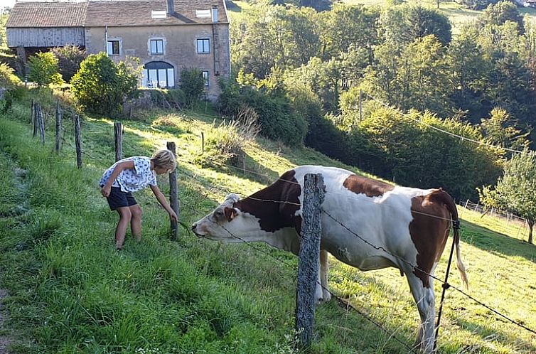 Huisje in Le Val d'Ajol