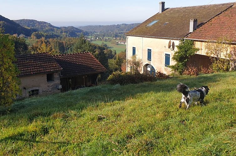 Huisje in Le Val d'Ajol