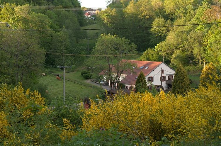 Vakantiehuis in Ban de Sapt