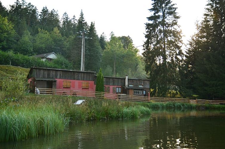 Vakantiehuisje in Ban de Sapt