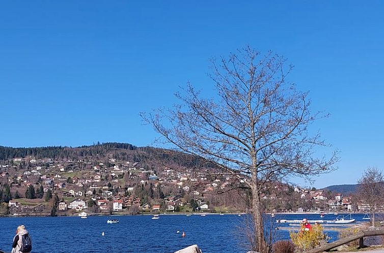 Vakantiehuisje in GERARDMER