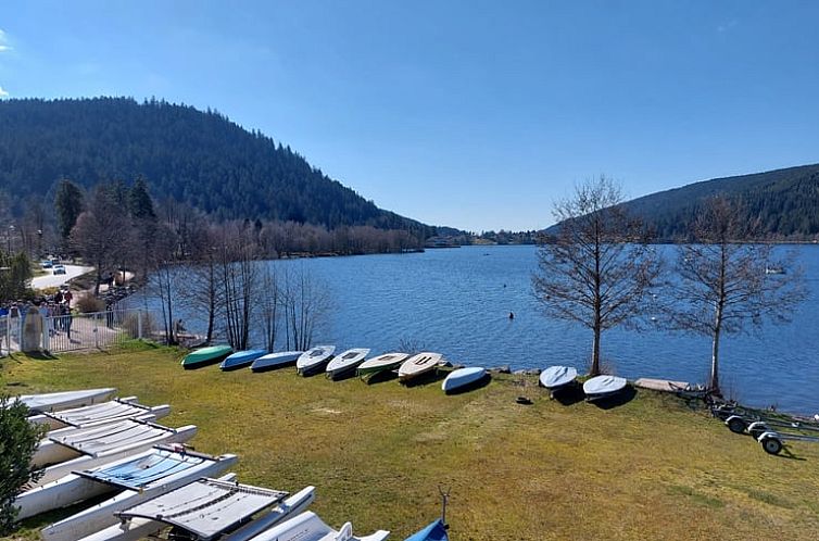 Vakantiehuisje in GERARDMER