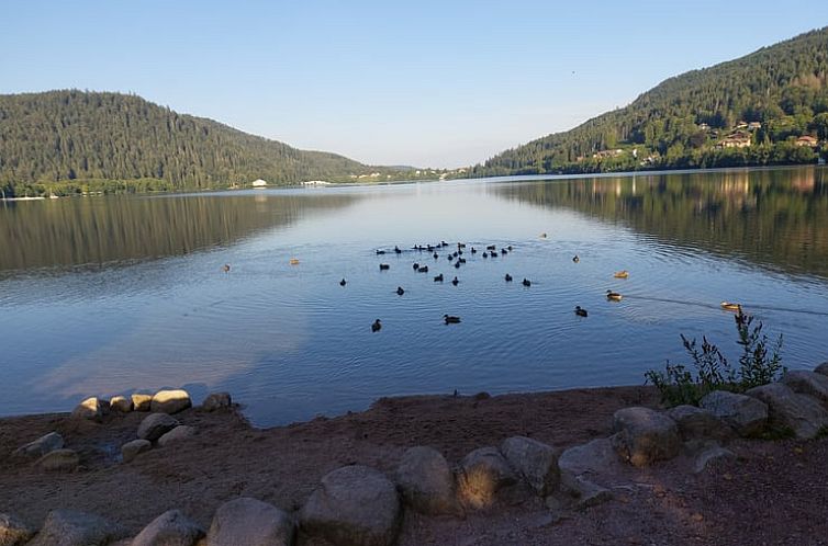 Vakantiehuisje in GERARDMER