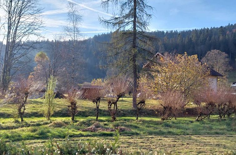 Huisje in Gerardmer