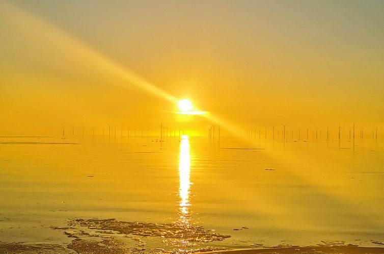 Prachtige geschakelde villa aan ijsselmeer