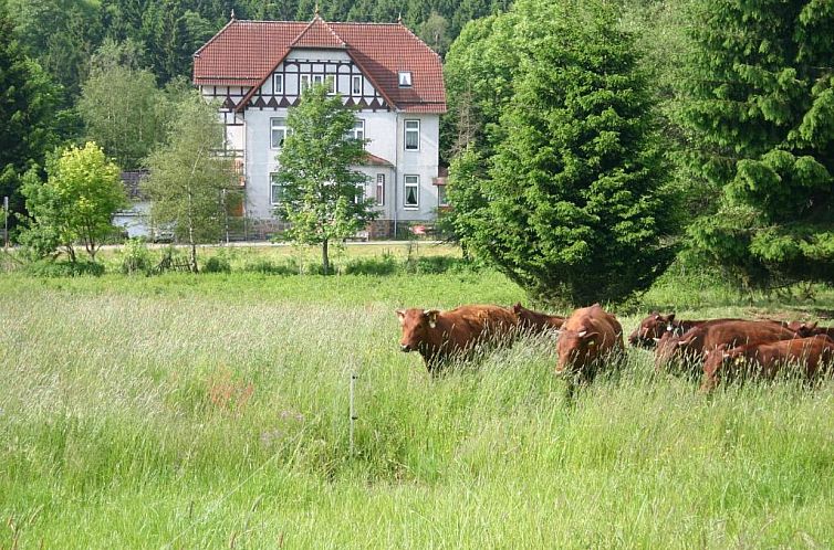 Pension Bodetal