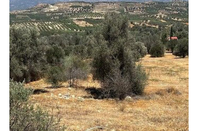 Kavel in Kreta, Griekenland