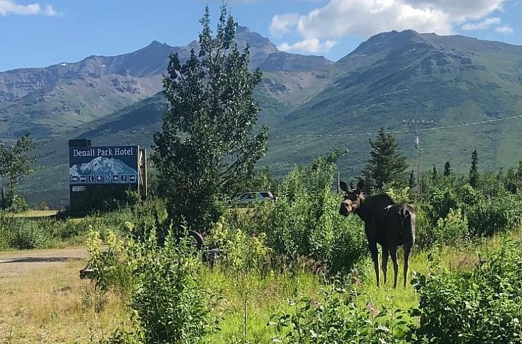 Denali Park Hotel