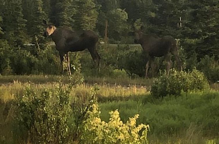 Denali Park Hotel