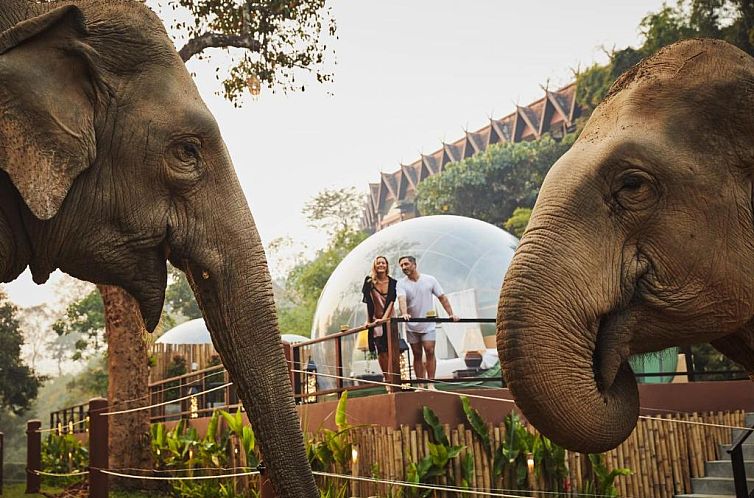 Anantara Golden Triangle Elephant Camp & Resort - SHA Certif