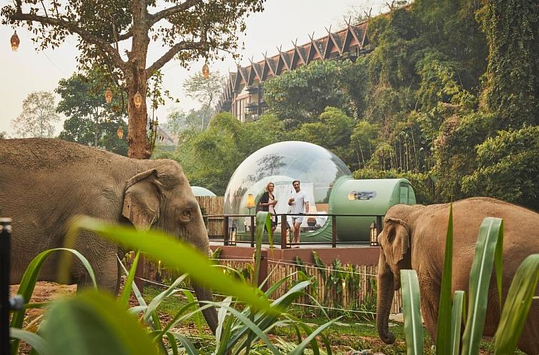 Anantara Golden Triangle Elephant Camp & Resort - SHA Certif