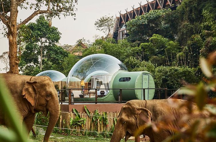 Anantara Golden Triangle Elephant Camp & Resort - SHA Certif