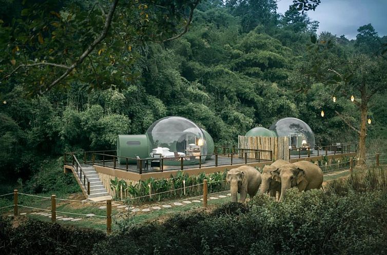 Anantara Golden Triangle Elephant Camp & Resort - SHA Certif