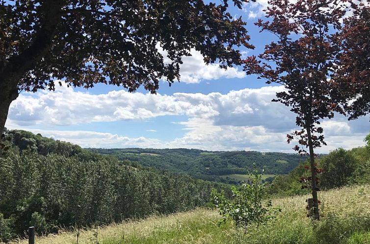 Le Petit Nid de Forêt