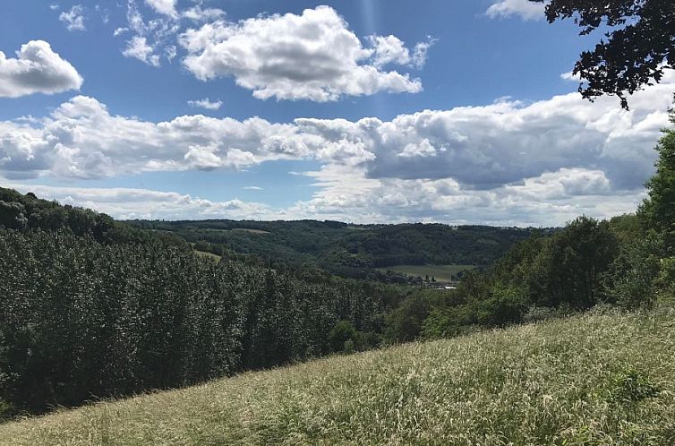 Le Petit Nid de Forêt