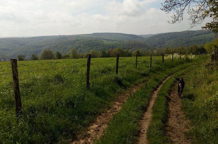 Le Petit Nid de Forêt