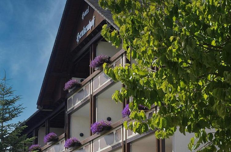 Landhotel Henkenhof Willingen