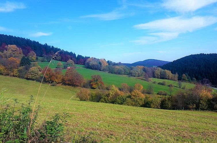 Pension Haus Waldfrieden