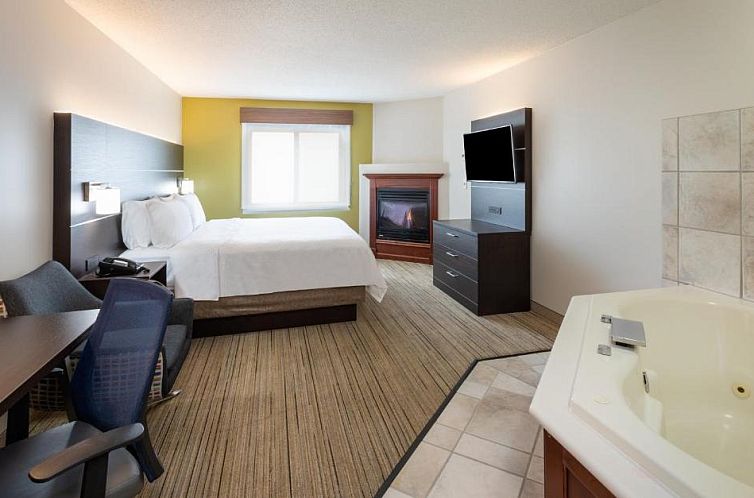 Holiday Inn Express Hotel & Suites Minneapolis-Downtown Conv