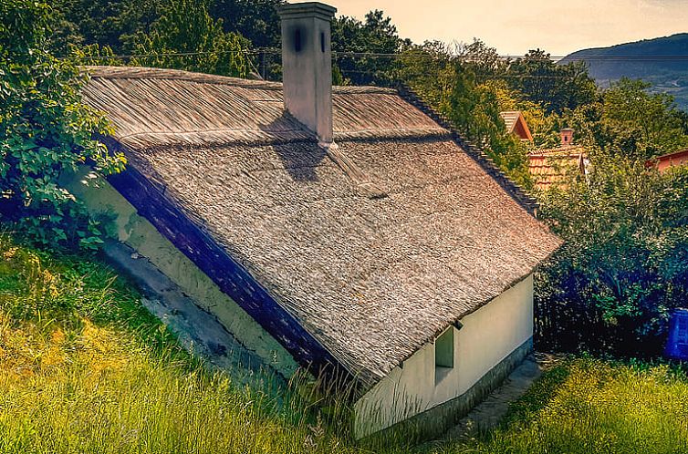 Vakantiehuisje in Badacsonytomaj