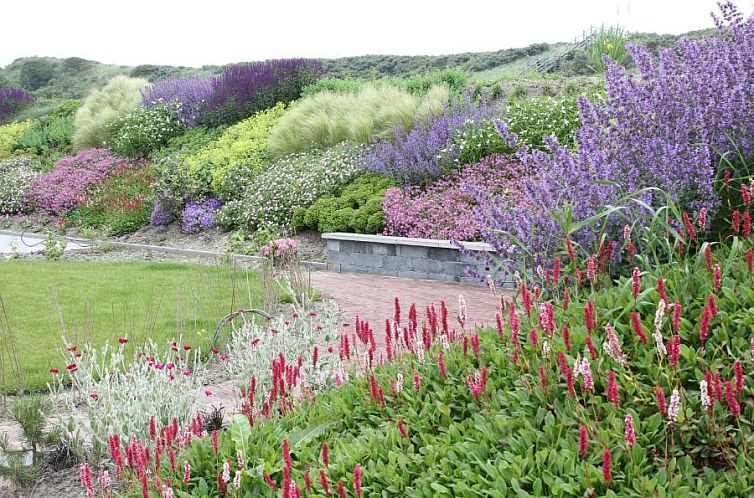 Duinvilla Aan de Zee B&B