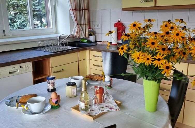 dresdnerferienwohnung - apartment am großen garten