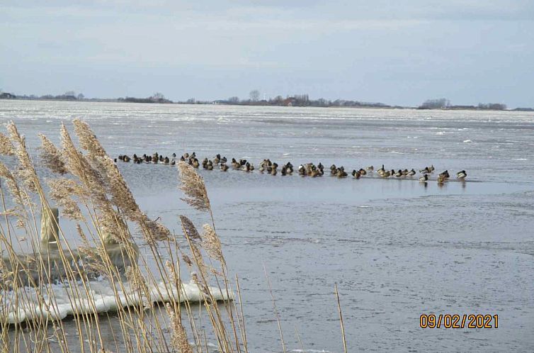 Heerlijk 6 persoons vakantiehuis aan het water in Friesland