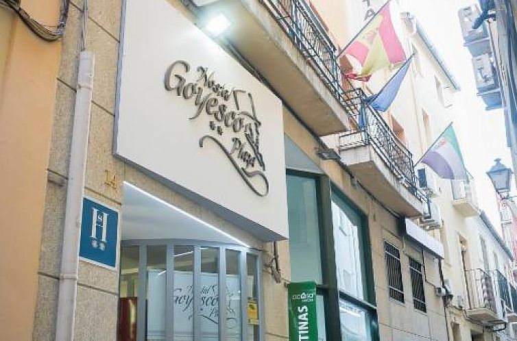 Hostal Goyesco Plaza