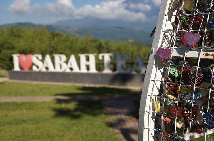 Sabah Tea Garden