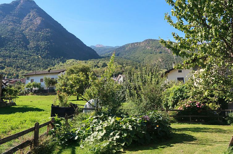 Appartement Aux Oiseaux