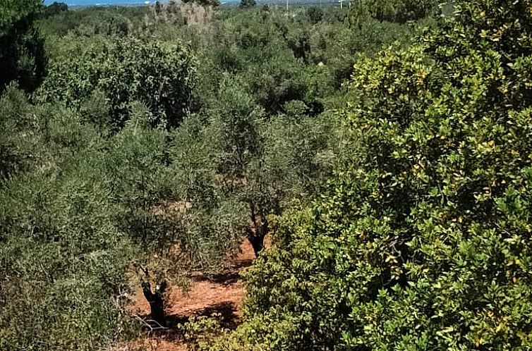 Vakantiehuis in Ostuni