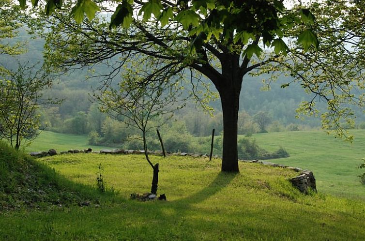 Vakantiehuisje in Ciano di Zocca