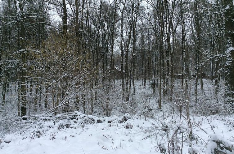 Vakantiehuisje in Couvin Bruly de Pesche