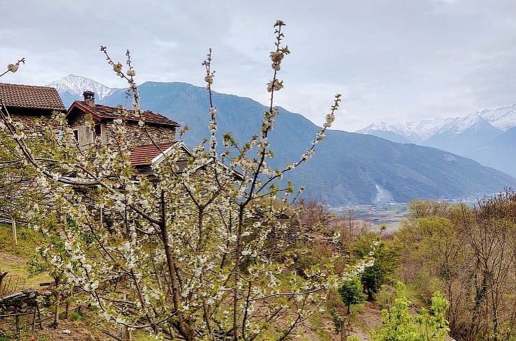 Appartement Raviscioni Albino