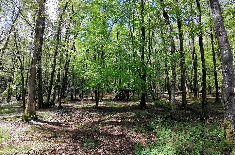 Vakantiehuisje in Oignies-en-Thiérache